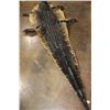 Image 13 : XXL ALLIGATOR Hide or ALLIGATOR Rug with its Mounted Head, Feet, and Claws