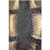 Image 8 : XXL ALLIGATOR Hide or ALLIGATOR Rug with its Mounted Head, Feet, and Claws