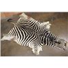 Image 1 : ZEBRA Hide or ZEBRA Rug with Vibrant Stripes