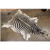Image 2 : ZEBRA Hide or ZEBRA Rug with Vibrant Stripes
