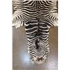 Image 3 : ZEBRA Hide or ZEBRA Rug with Vibrant Stripes