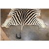 Image 5 : ZEBRA Hide or ZEBRA Rug with Vibrant Stripes