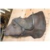 Image 3 : Massive CAPE BUFFALO Shoulder Mount