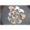 Image 1 : *TEXAS RESIDENTS ONLY* (12) African LION Claws