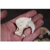 Image 3 : *TEXAS RESIDENTS ONLY* (12) African LION Claws