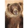 Image 7 : Life-sized Standing GRIZZLY or BROWN BEAR on Bolts with No Base