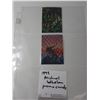 Image 1 : 1993 Michael Whelan Promo Cards with Hologram Inserts