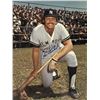 Image 1 : Ron Blomberg signed photo