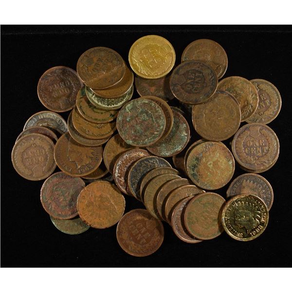 (50) INDIAN HEAD CENTS