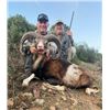 Image 1 : 1 MOUFLON SHEEP, 1 FALLOW DEER or 1 IBERIAN RED DEER (Hunter choice)