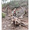 Image 2 : 1 MOUFLON SHEEP, 1 FALLOW DEER or 1 IBERIAN RED DEER (Hunter choice)