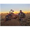 Image 3 : 7 Day South Africa Northern Cape Safari for 2-8 hunters/observers w/ $1,500 Trophy Credit