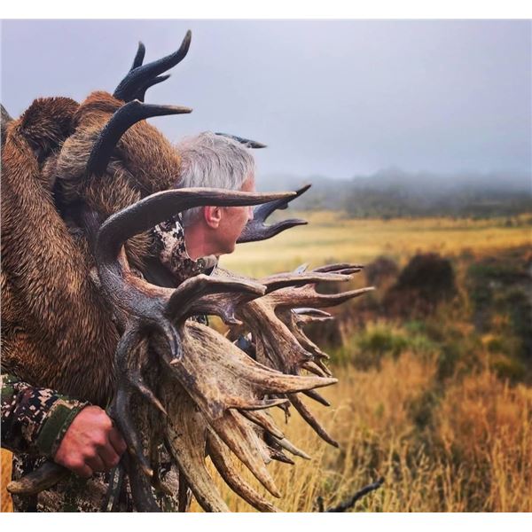 3 Day New Zealand Free Range Red Stag Hunt for One Hunter includes Trophy Fee for One Red Stag