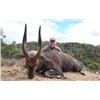 Image 2 : 7 Day South Africa Eastern Cape Plains Game for One Hunter & One Non-Hunter includes Four Trophies