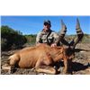 Image 3 : 7 Day South Africa Eastern Cape Plains Game for One Hunter & One Non-Hunter includes Four Trophies