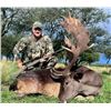 Image 5 : Dove hunting in one of our lodges in Santa Fe, Cordoba, Tucuman or San Luis