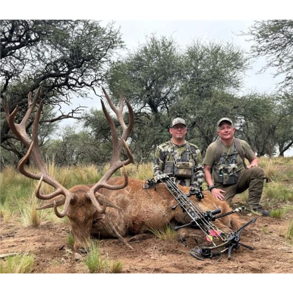 5 DAY HUNT FOR 4 HUNTERS AT NORTHERN PATAGONIA, ARGENTINA