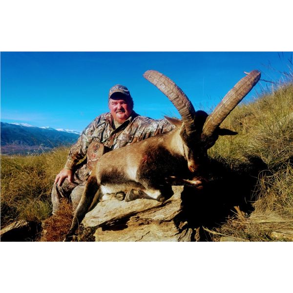 Spain Southeastern Ibex