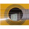 Image 8 : Jasmine by Takamine Model 22 Guitar – Missing One String