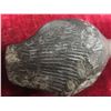 Image 8 : Soapstone Bird Carvings – Qty 4 (5"L × 2¼"W) and 1 Soapstone Eskimo Fishing Carving (6"L × 4"W)