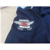 Image 8 : 4 Winnipeg Jets Hockey Items – Pennants and 4XL Reebok Jersey