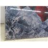 Image 4 : Coca-Cola Plastic/Plexiglass Sign – 46" × 26"