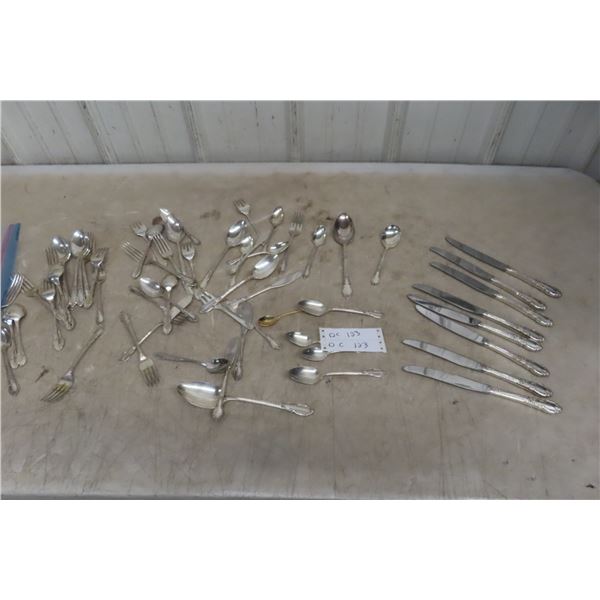 1881 Rogers Silverplate Flatware