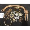 Image 1 : Fashion Jewelry: Pins, Goldtone Bracelet, Necklaces & More