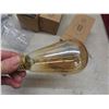 Image 9 : New LED Light Bulbs: 15 x A19, 4 x A21, 2 Heat Lights, Spotlights, 3 Filament Bulbs +