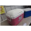 Image 3 : Picnic Coolers – Qty 2