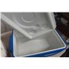 Image 5 : Picnic Coolers – Qty 2