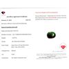 Image 3 : 10.07 ct Certified Zambian Emerald gemstone ($15,105 Appraisal)