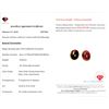 Image 3 : 10.85 ct Certified Tourmaline gemstone Pair ($10,307 Appraisal)