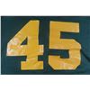 Image 2 : Vintage CFL Edmonton Eskimos #45 Jersey, Men's Large