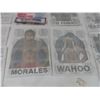 Image 7 : Vintage AWA Wrestling Iron-On Transfers: Mad Dog, Wahoo, Flair, and More
