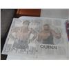 Image 8 : Vintage AWA Wrestling Iron-On Transfers: Mad Dog, Wahoo, Flair, and More