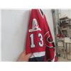 Image 3 : Vintage 2009 Montreal Canadiens Mike Cammalleri Jersey, Men's Large (48)
