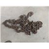 Image 2 : Chains with Hooks, 10–20 ft – Qty 5