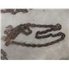 Image 3 : Chains with Hooks, 10–20 ft – Qty 5