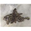 Image 4 : Chains with Hooks, 10–20 ft – Qty 5