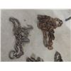 Image 5 : Chains with Hooks, 10–20 ft – Qty 5