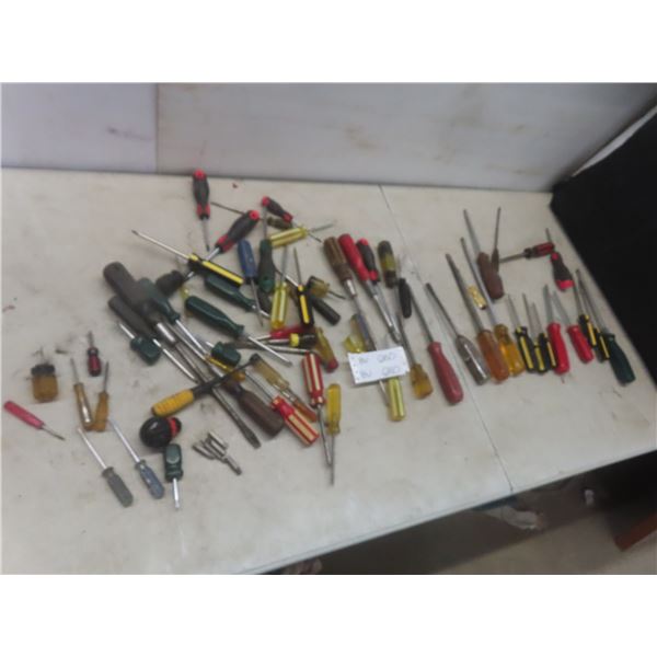 Screwdriver Lot
