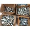 Image 5 : Hardware Lot – Nuts, Bolts, and Washers (Mostly Galvanized)