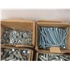 Image 6 : Hardware Lot – Nuts, Bolts, and Washers (Mostly Galvanized)