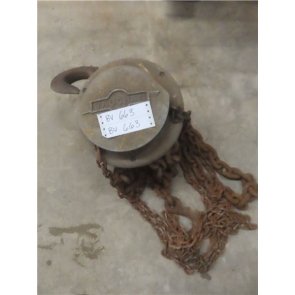 Vaughan Heavy-Duty 2-Ton Chain Hoist