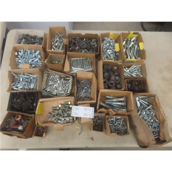 Hardware Lot – Bolts, Nuts, and Washers (Mostly Galvanized)