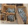 Image 2 : Hardware Lot – Bolts, Nuts, and Washers (Mostly Galvanized)