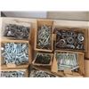 Image 4 : Hardware Lot – Bolts, Nuts, and Washers (Mostly Galvanized)