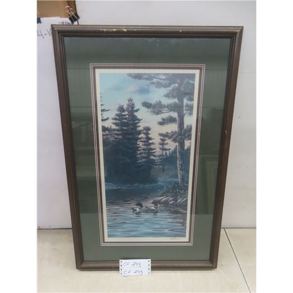 Framed and Signed Print, 30 × 19½"
