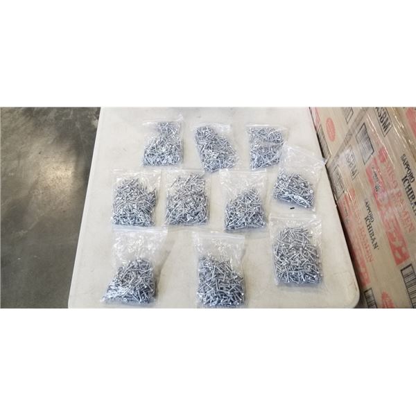 CASE OF 1000 STEEL SCREWS